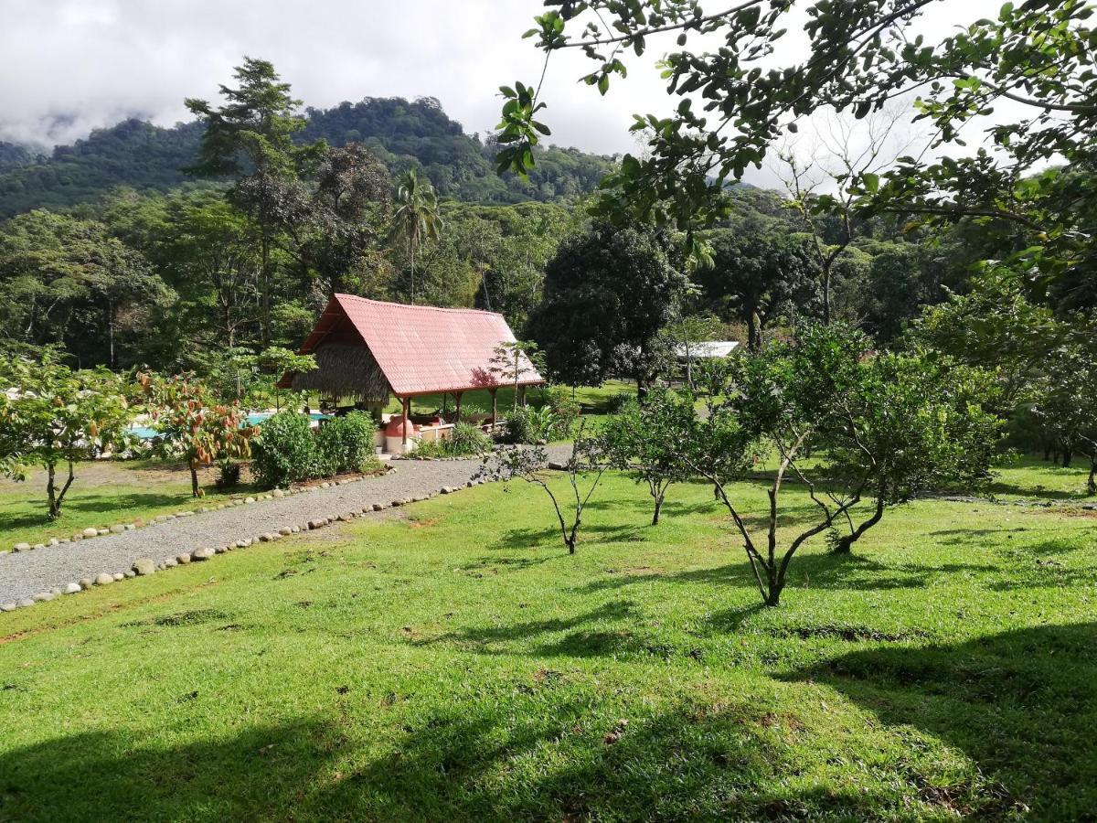 Hacienda Mil Bellezas - Private 40Ha Jungle Reserve Quepos Eksteriør bilde