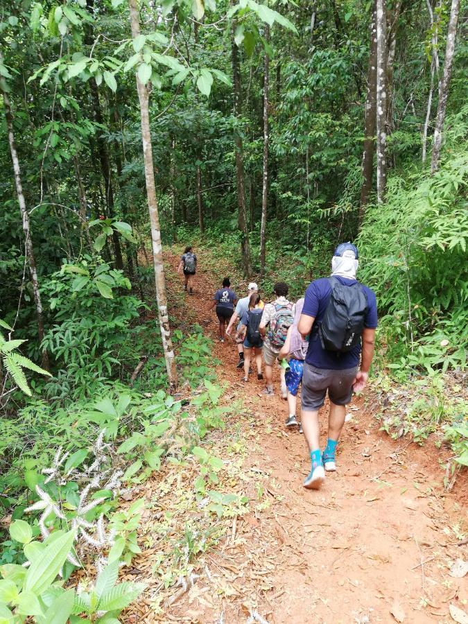 Hacienda Mil Bellezas - Private 40Ha Jungle Reserve Quepos Eksteriør bilde