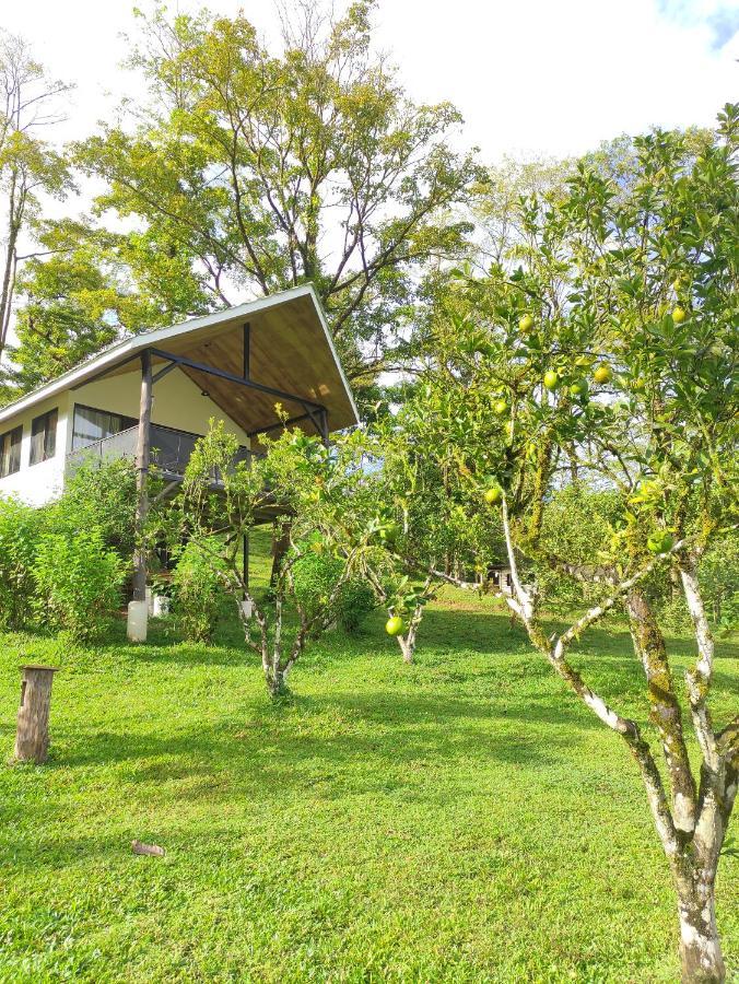 Hacienda Mil Bellezas - Private 40Ha Jungle Reserve Quepos Rom bilde