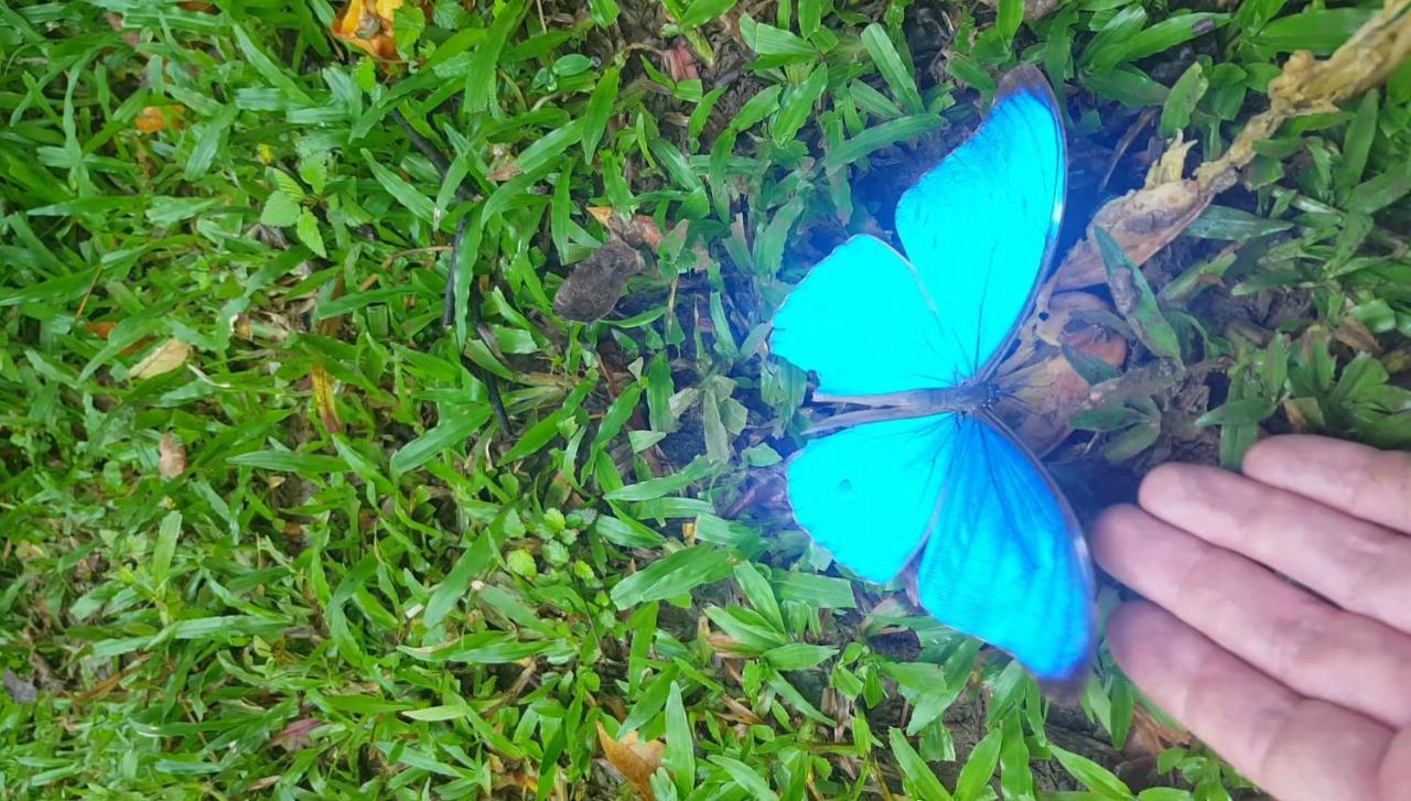 Hacienda Mil Bellezas - Private 40Ha Jungle Reserve Quepos Eksteriør bilde