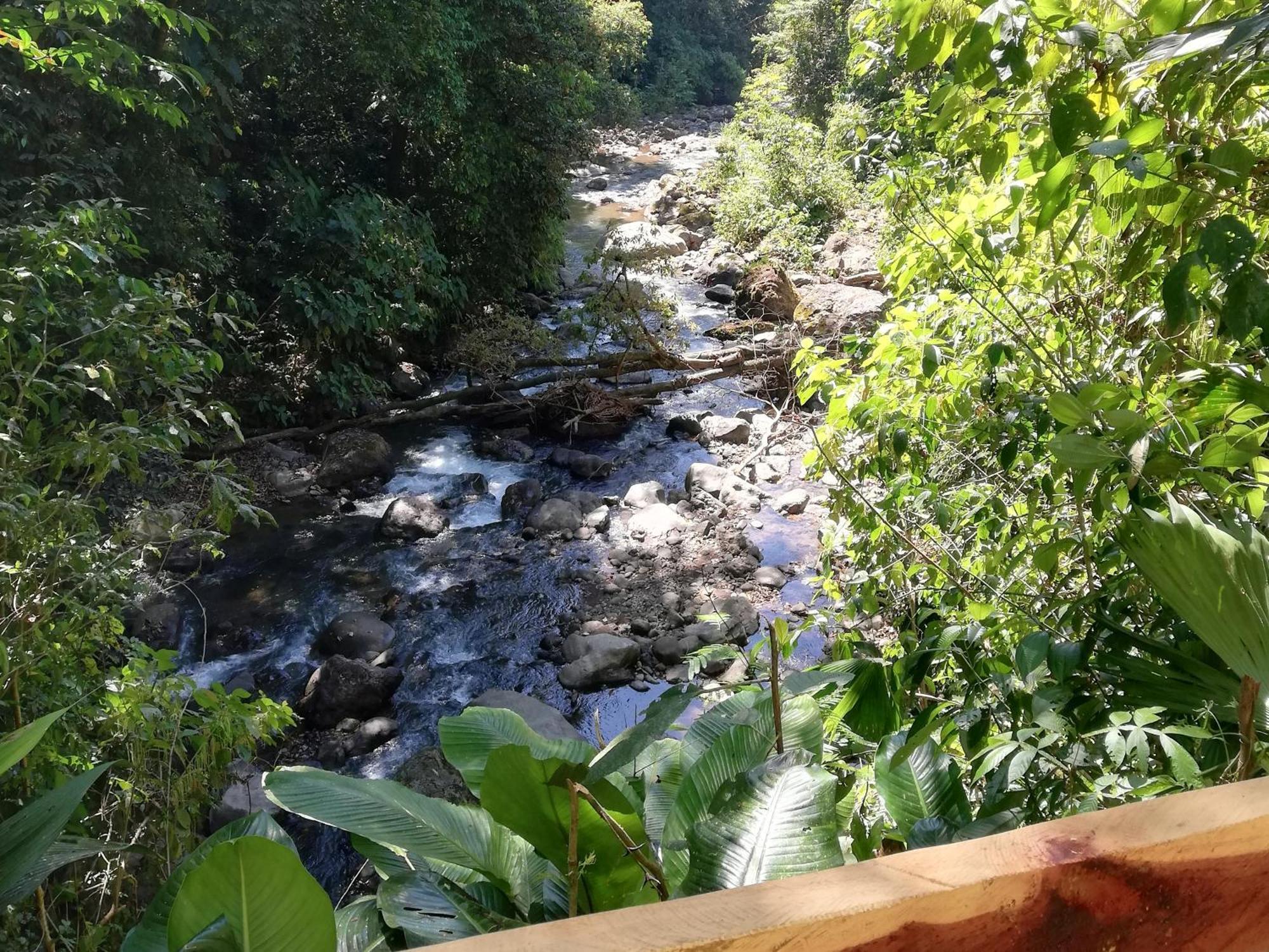 Hacienda Mil Bellezas - Private 40Ha Jungle Reserve Quepos Eksteriør bilde