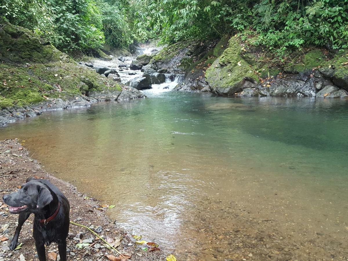 Hacienda Mil Bellezas - Private 40Ha Jungle Reserve Quepos Eksteriør bilde