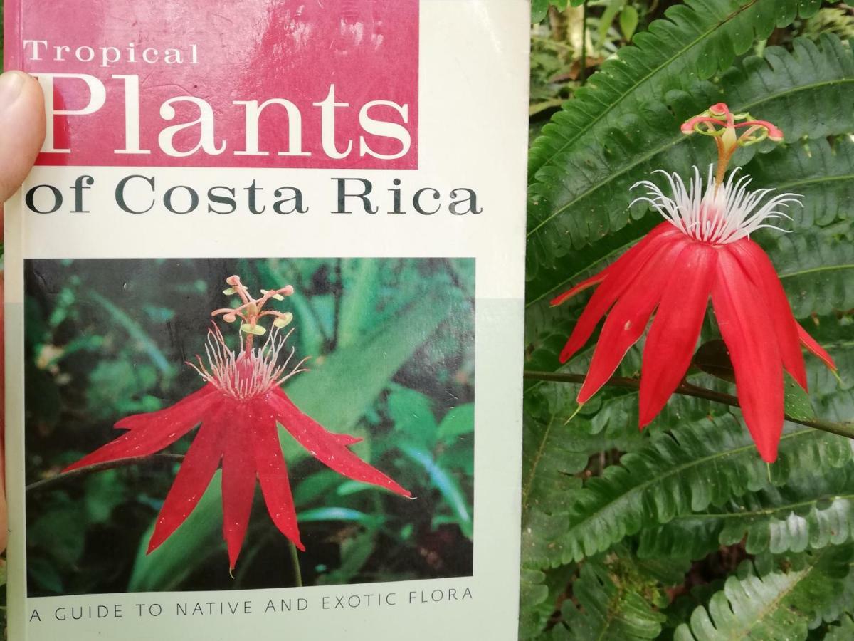 Hacienda Mil Bellezas - Private 40Ha Jungle Reserve Quepos Eksteriør bilde
