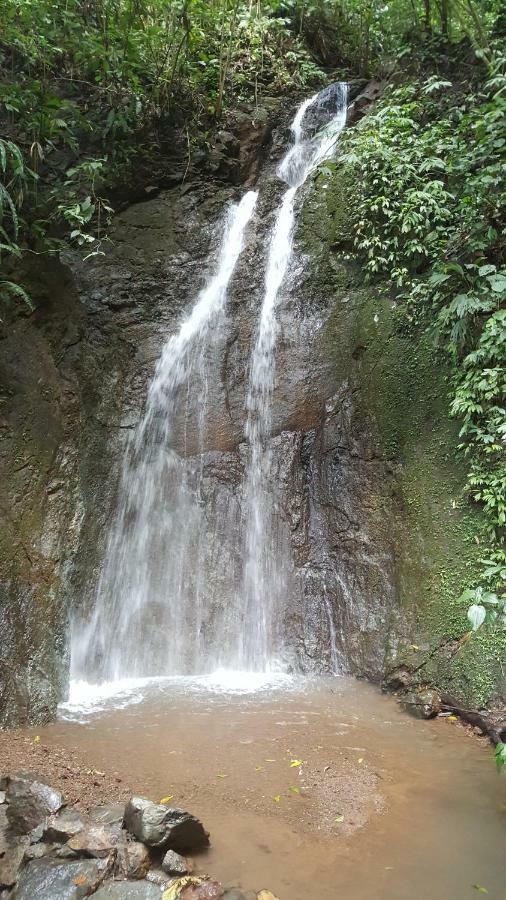 Hacienda Mil Bellezas - Private 40Ha Jungle Reserve Quepos Eksteriør bilde