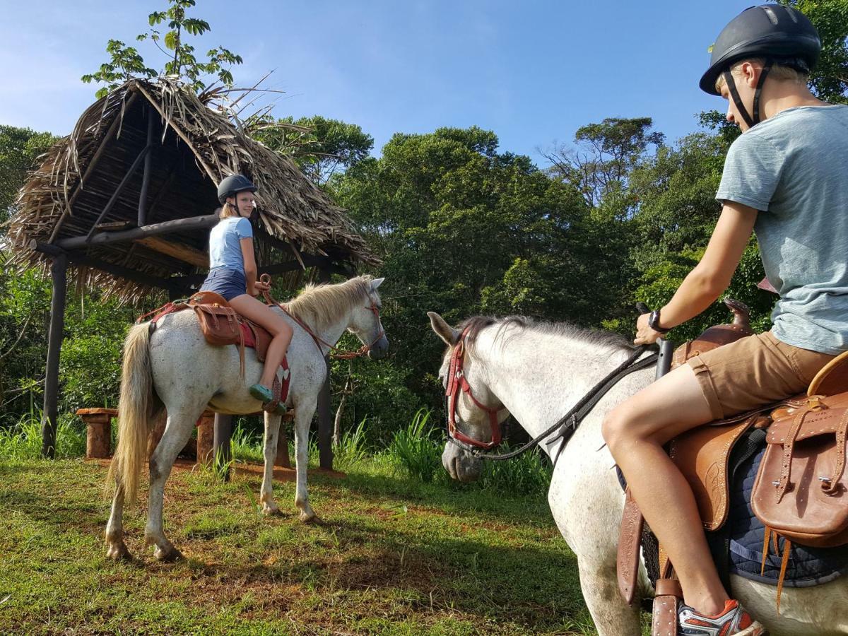 Hacienda Mil Bellezas - Private 40Ha Jungle Reserve Quepos Eksteriør bilde